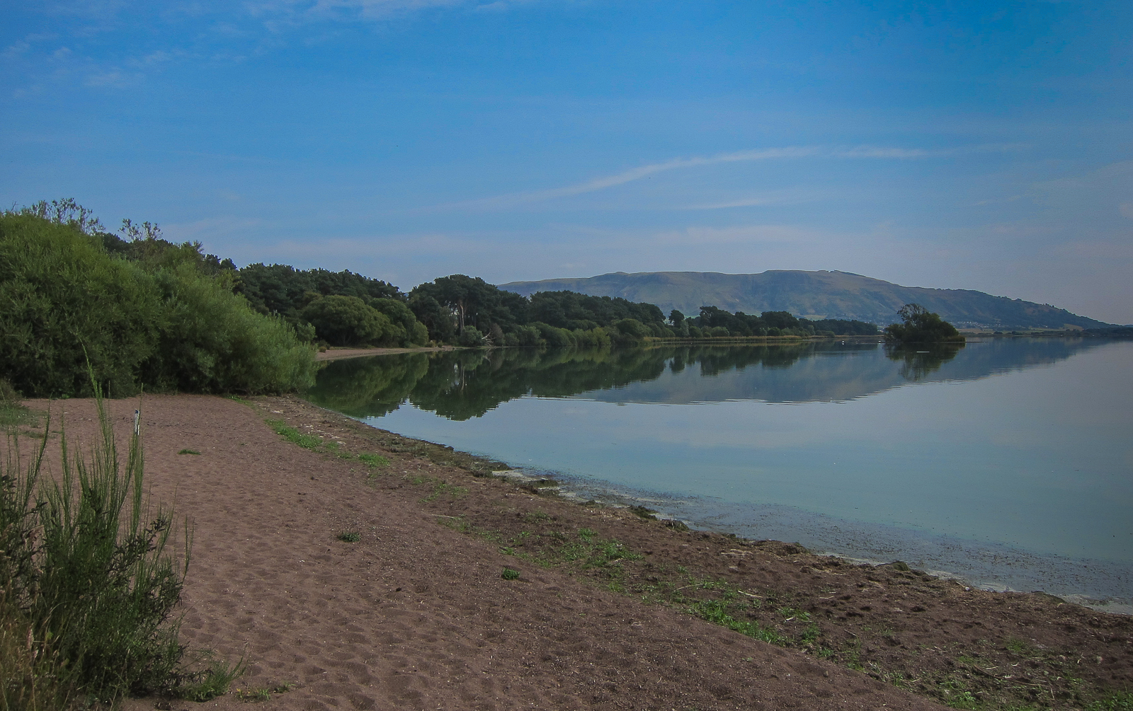 blog image
